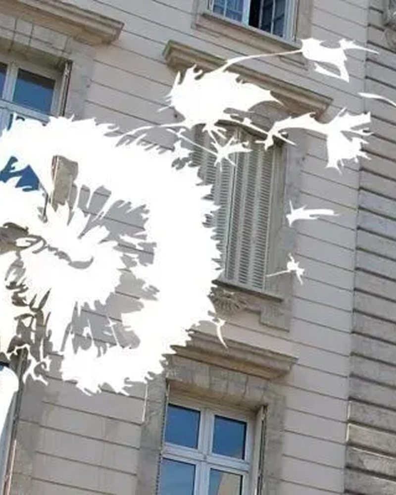 Detail of the key visual of the Tombola Solidaire 2026: dandelion seeds taking flight in front of the façade of the Saint-Jean de Passy school