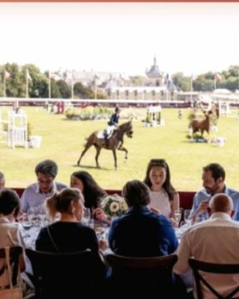 Stands and arena of an international show-jumping event — the "VIP lunch for two" prize of the EquiAction charity lottery.