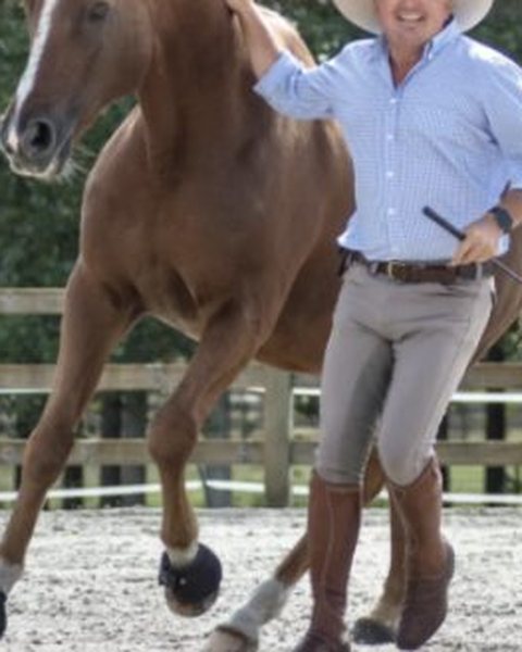 A rider working a bay horse in an arena — the "clinics as an observer with Andy Booth" prize of the EquiAction charity lottery.