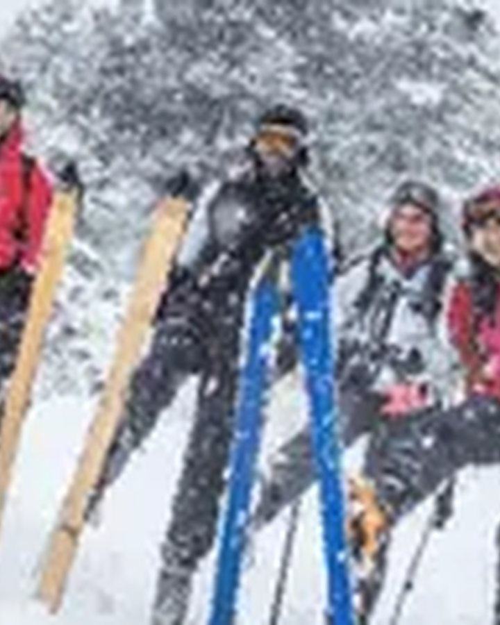 The Alps: a group of ski tourers making their way through fresh snow among snow-covered firs