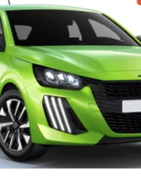 Green Peugeot 208 Style 100 ch BVM6 car, prize no. 1 of the La Tanière raffle